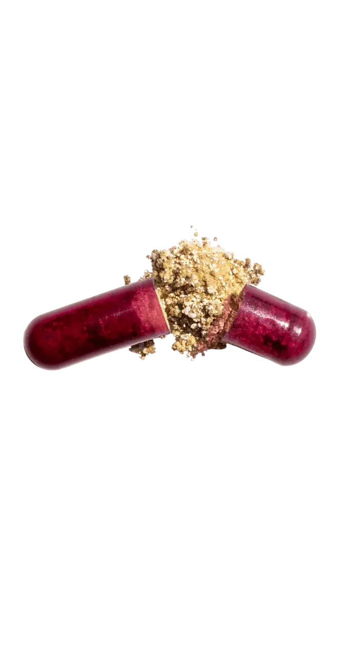 Puori Multivitamin &amp; Minerals 60 kapslí