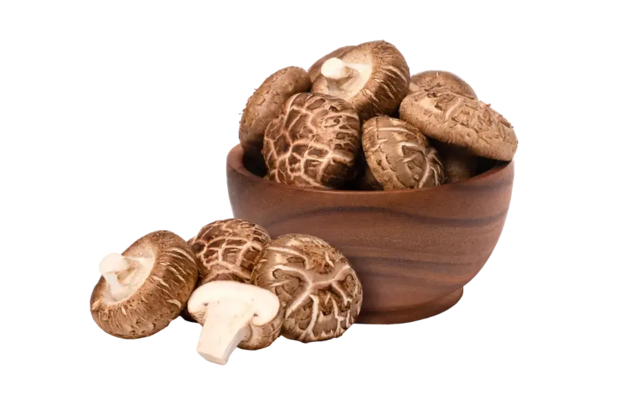 Kaapa Organic Mushrooms Shiitake 30 ml