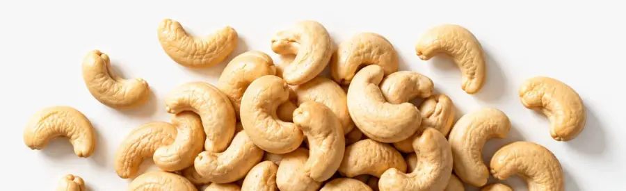 Powerlogy Cashew Cream 475 g