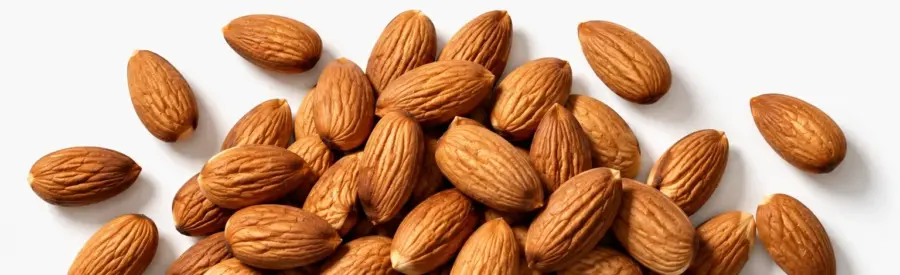 Powerlogy Almond Cream 475 g